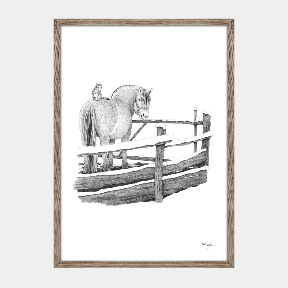 Håndtegnet sort-hvid illustration af en fjordhest med en kat på ryggen, stående i en fold omkranset af hegn. Et roligt og nærværende motiv.