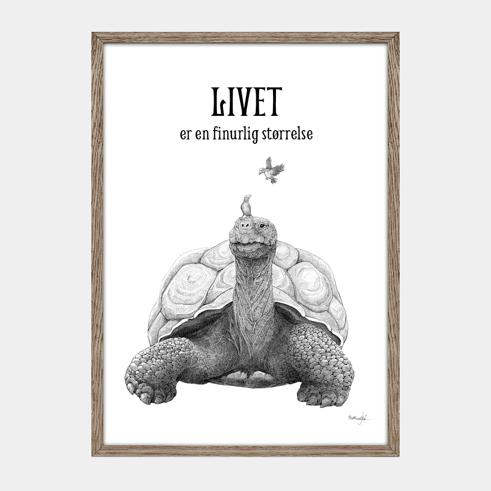 Håndtegnet sort-hvid plakat med skildpadde og fugl – detaljeret tuschtegning, der viser naturens samarbejde.
"Livet er en finurlig størrelse".