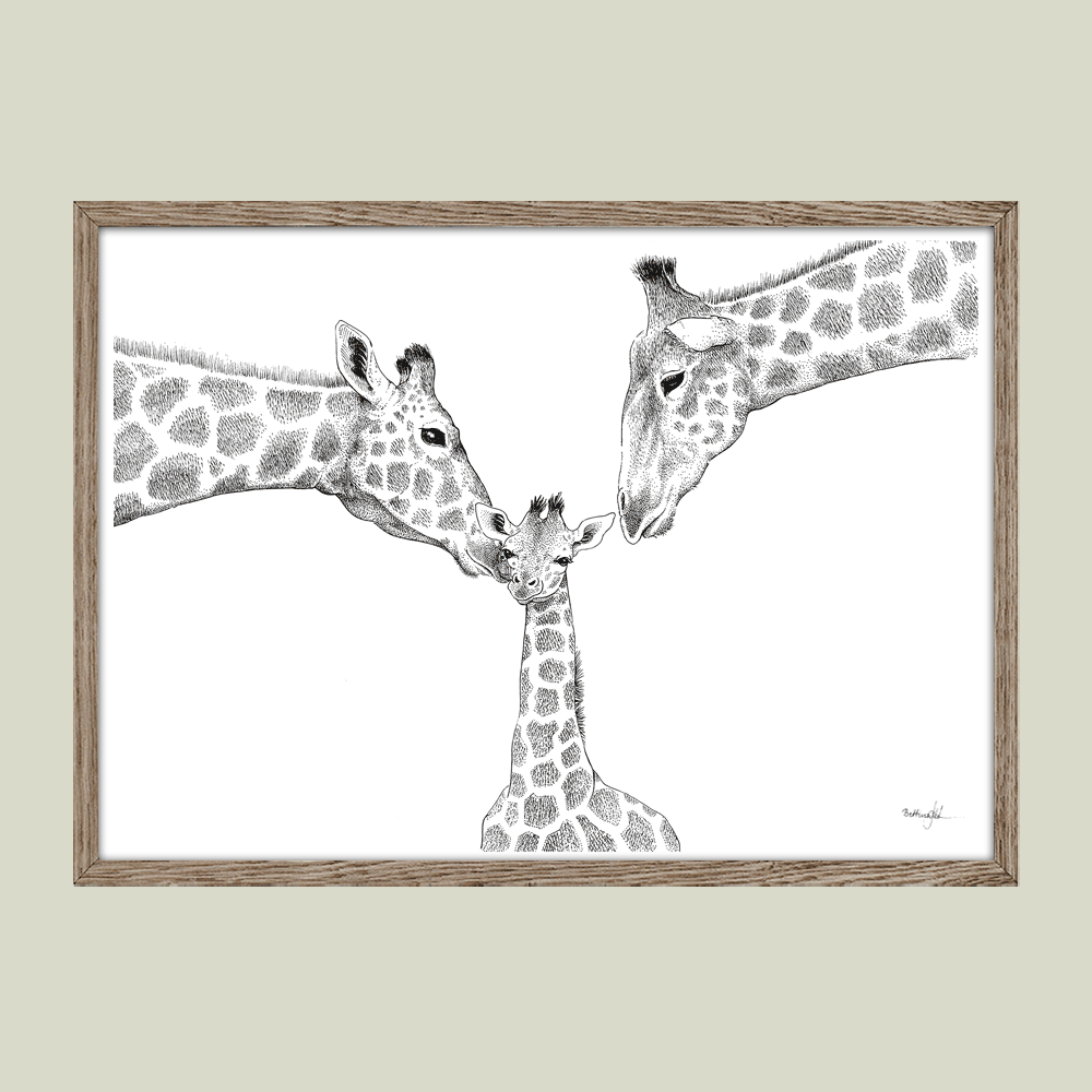 Plakat - Kærlighed uden lige