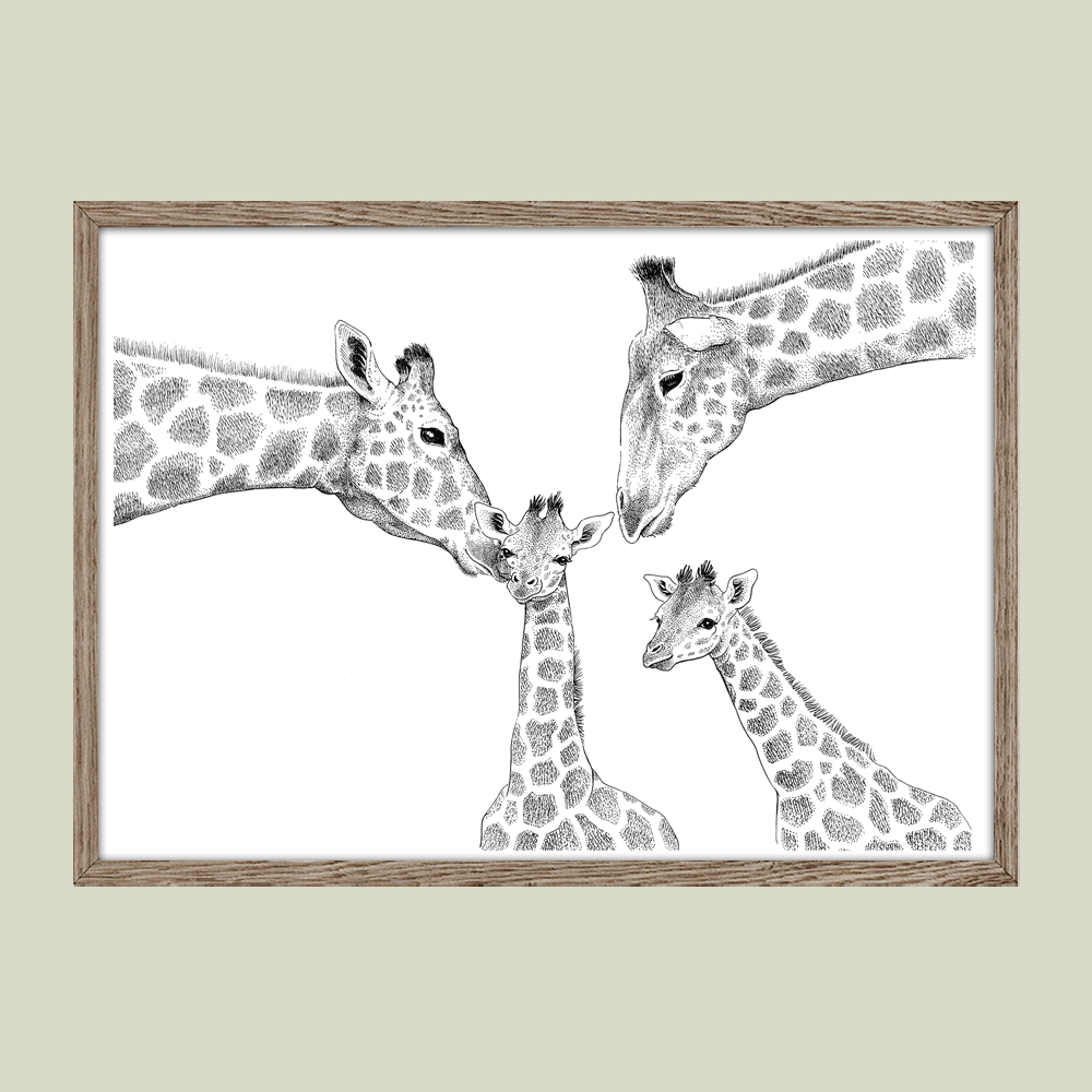 Plakat – Kærlighed uden lige