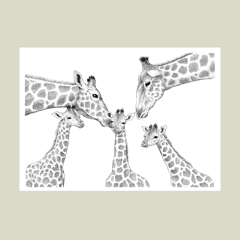 Plakat – Kærlighed uden lige