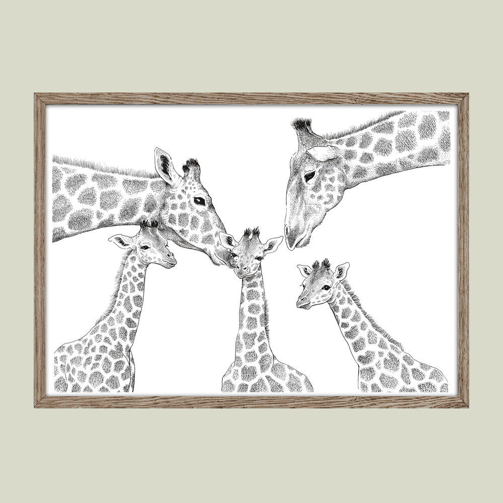 Plakat – Kærlighed uden lige