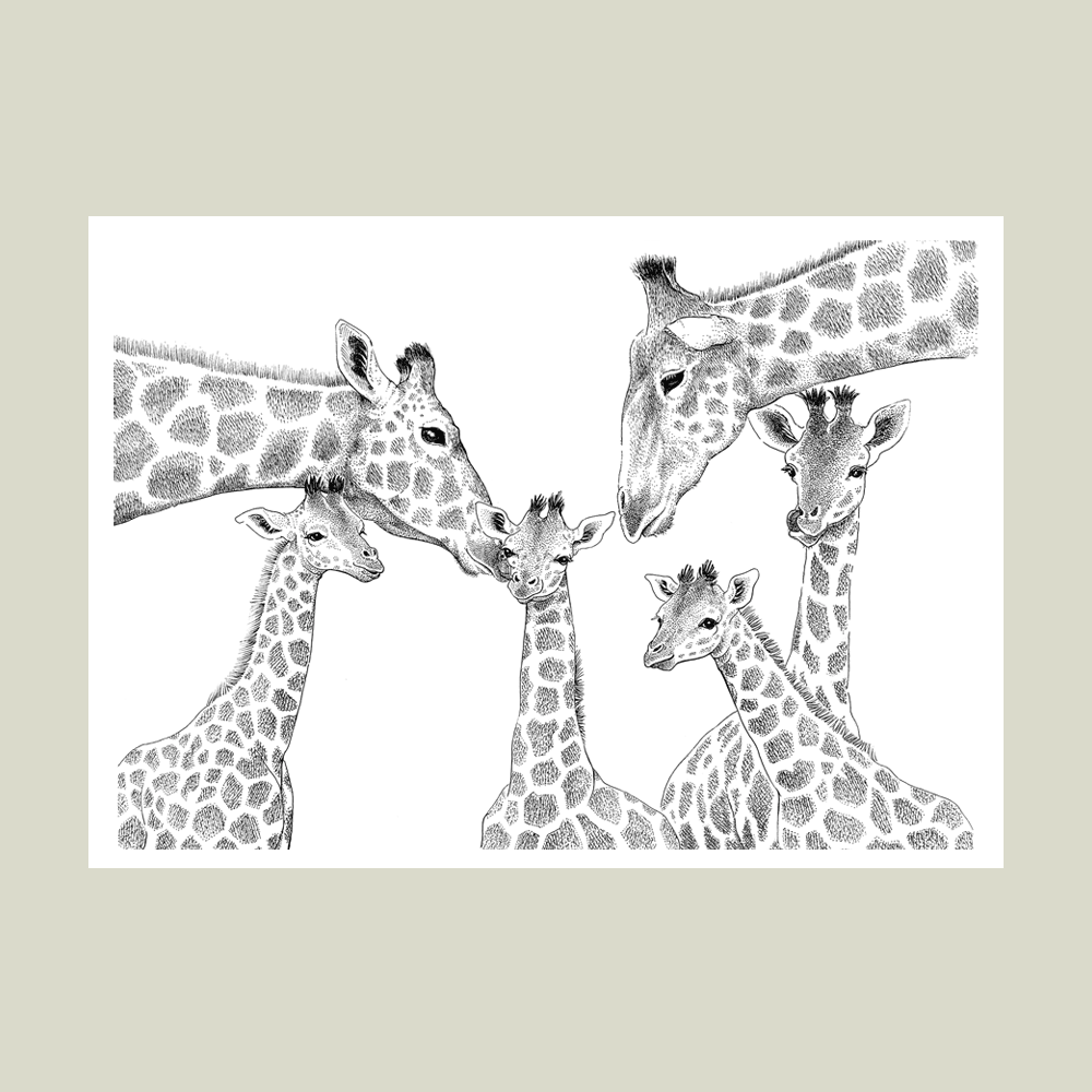 Plakat – Kærlighed uden lige