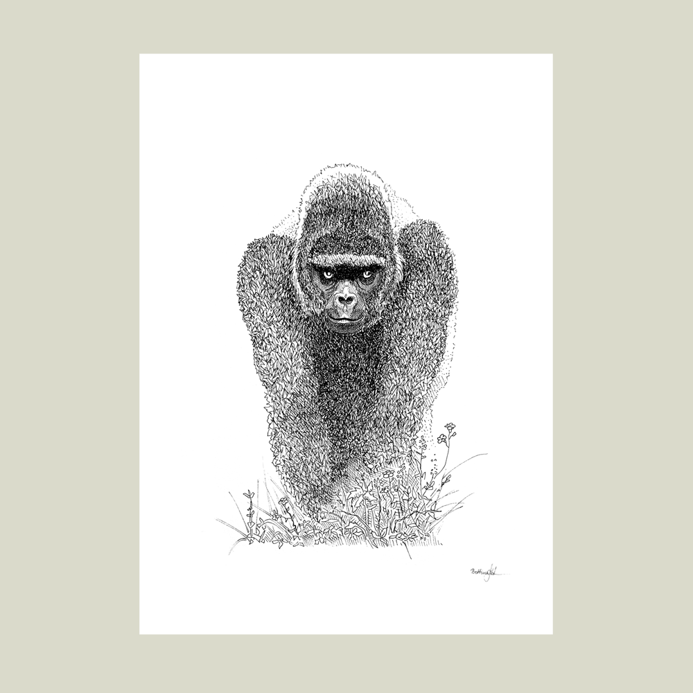 Plakat med gorilla – En fredelig stund