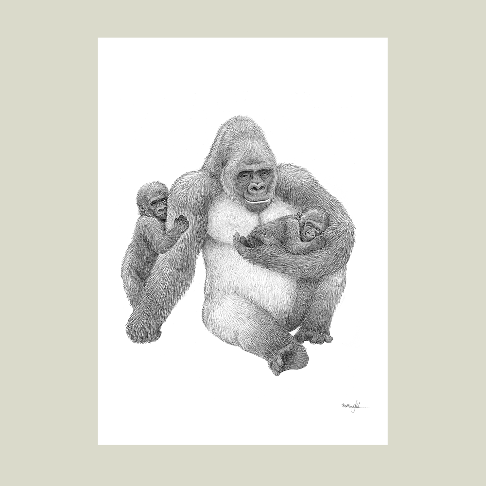 Plakat med gorilla og unger – symbol på fars trygge favn, styrke og kærlighed.