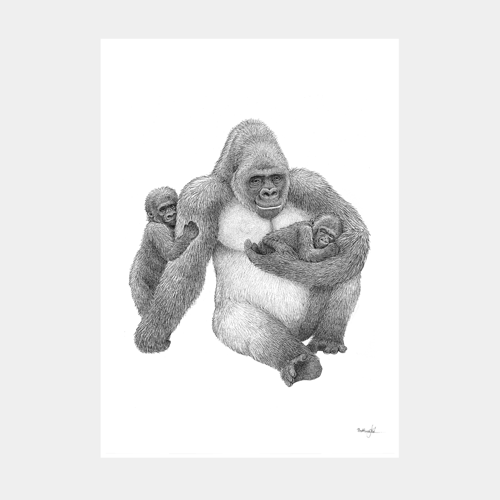 Plakat med gorilla og unger – symbol på fars trygge favn, styrke og kærlighed.