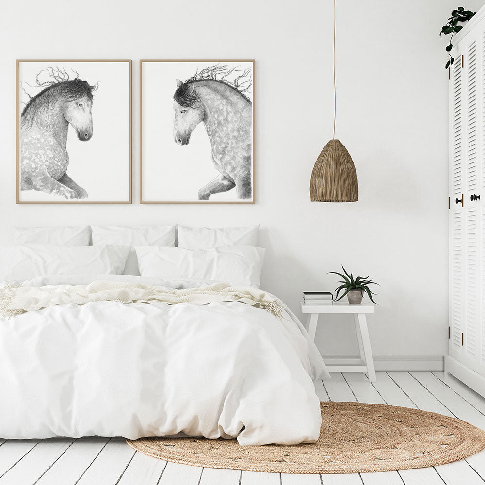Plakat med gråskimmel hest