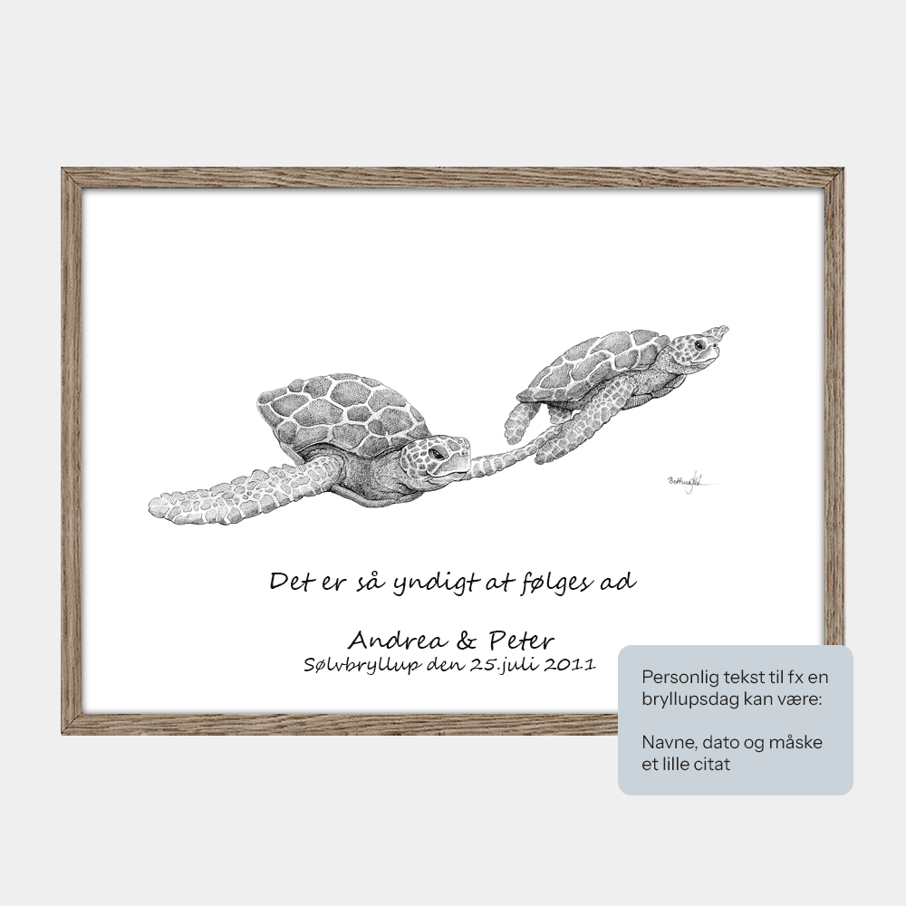 Plakat med havskildpadder