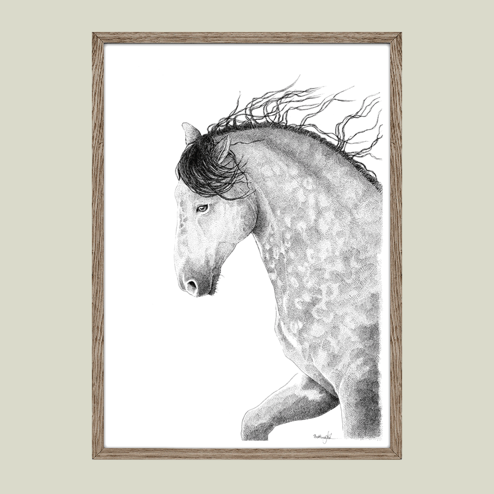 Håndtegnet sort-hvid illustration af en hest med bøjet hals og vinden i manen. Et roligt, kraftfuldt og poetisk motiv. Begrænset oplag på 20 stk