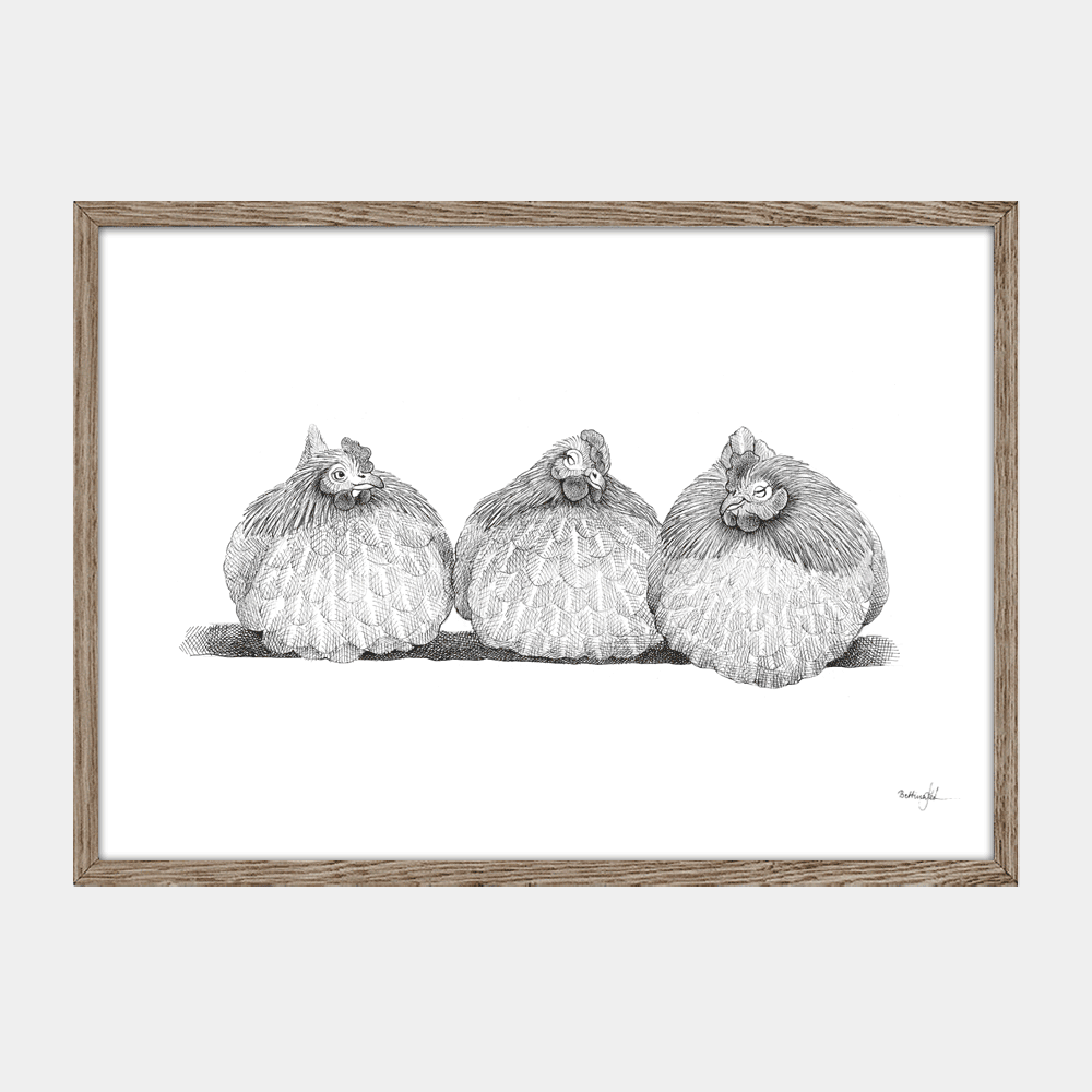 Håndtegnet sort-hvid illustration af tre høns, der sidder tæt sammen på række. Et livligt og roligt bondegårdsmotiv med humor.