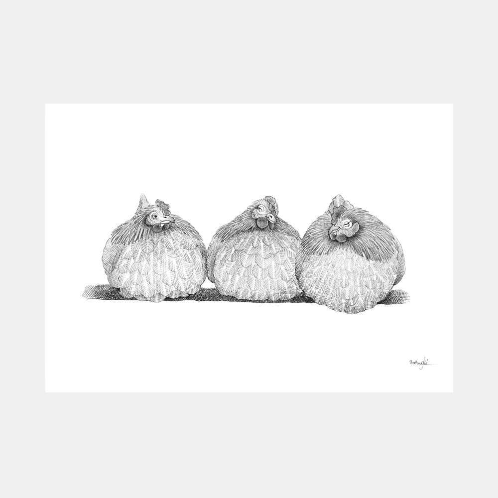 Håndtegnet sort-hvid illustration af tre høns, der sidder tæt sammen på række. Et livligt og roligt bondegårdsmotiv med humor.