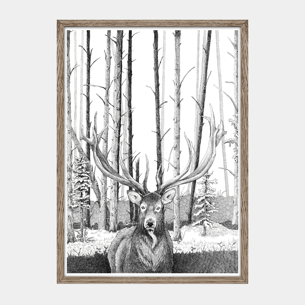 Håndtegnet plakat med kronhjort i skoven – naturmotiv fra serien I haven og skoven