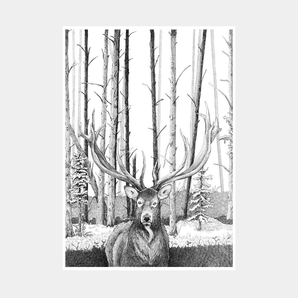 Håndtegnet plakat med kronhjort i skoven – naturmotiv fra serien I haven og skoven