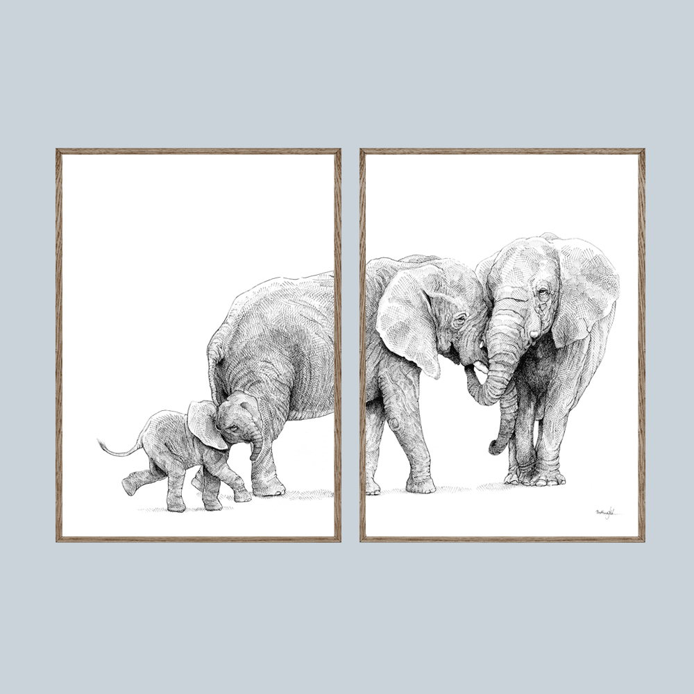 Kunsttryk med elefanter – Samhørighed