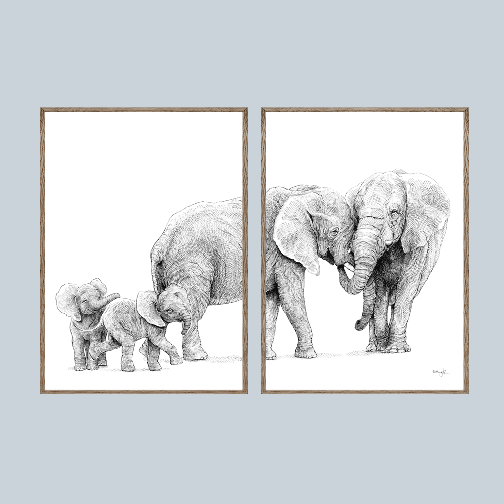 Kunsttryk med elefanter – Samhørighed
