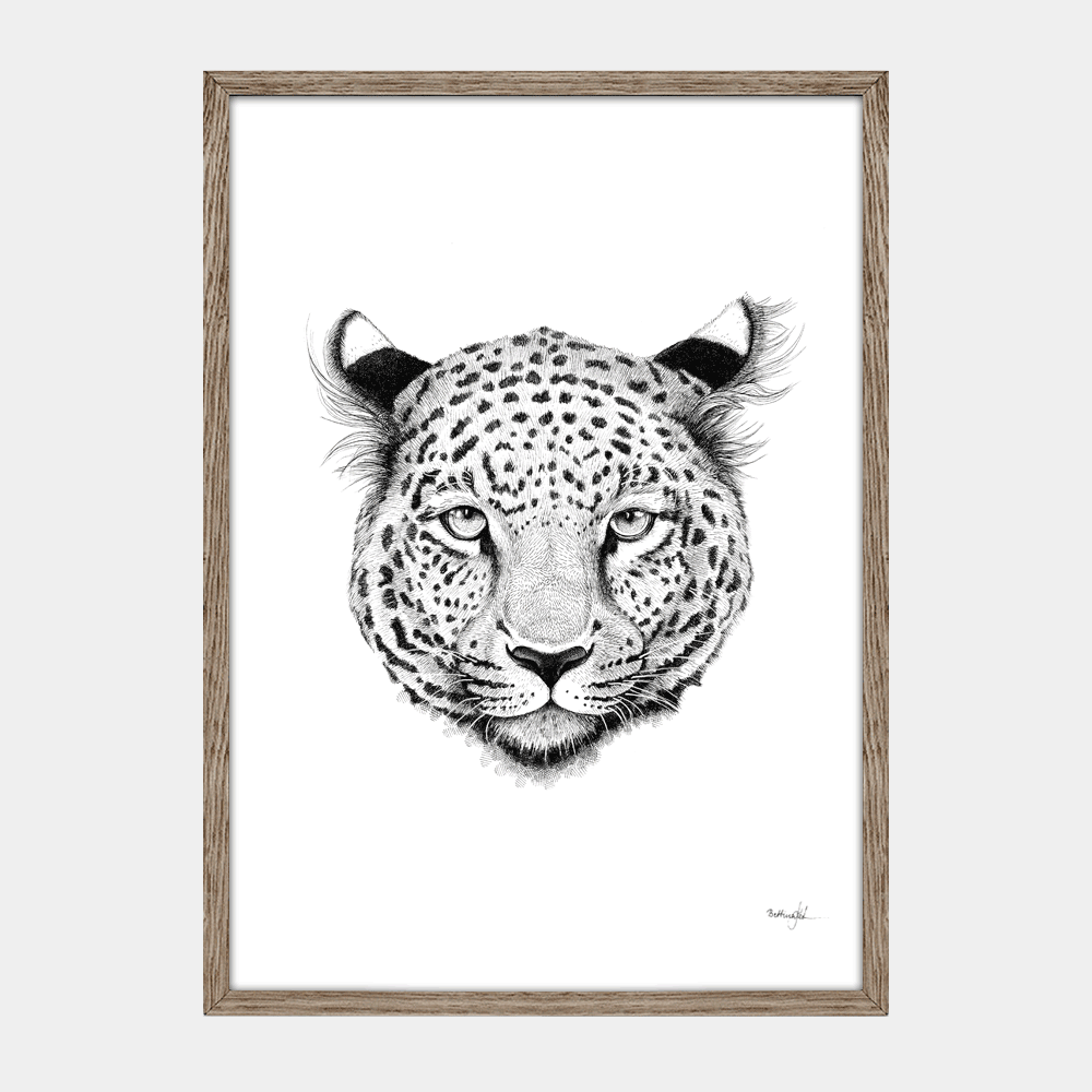 Håndtegnet sort-hvid plakat med leopard – detaljeret tuschtegning af leopardhoved med intenst blik.