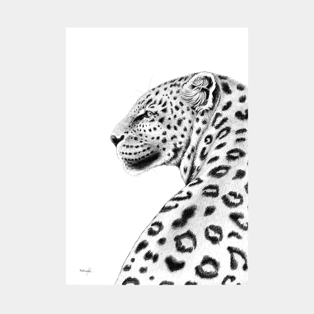 Plakat med leopard