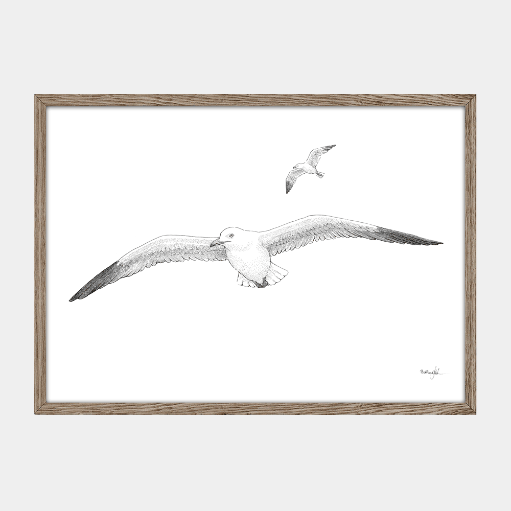 Håndtegnet plakat “Højt over bølgerne”. Poetisk motiv med måger i flugt over havet. Del af serien Ved havet – natur, frihed og balance. Trykt i Danmark.