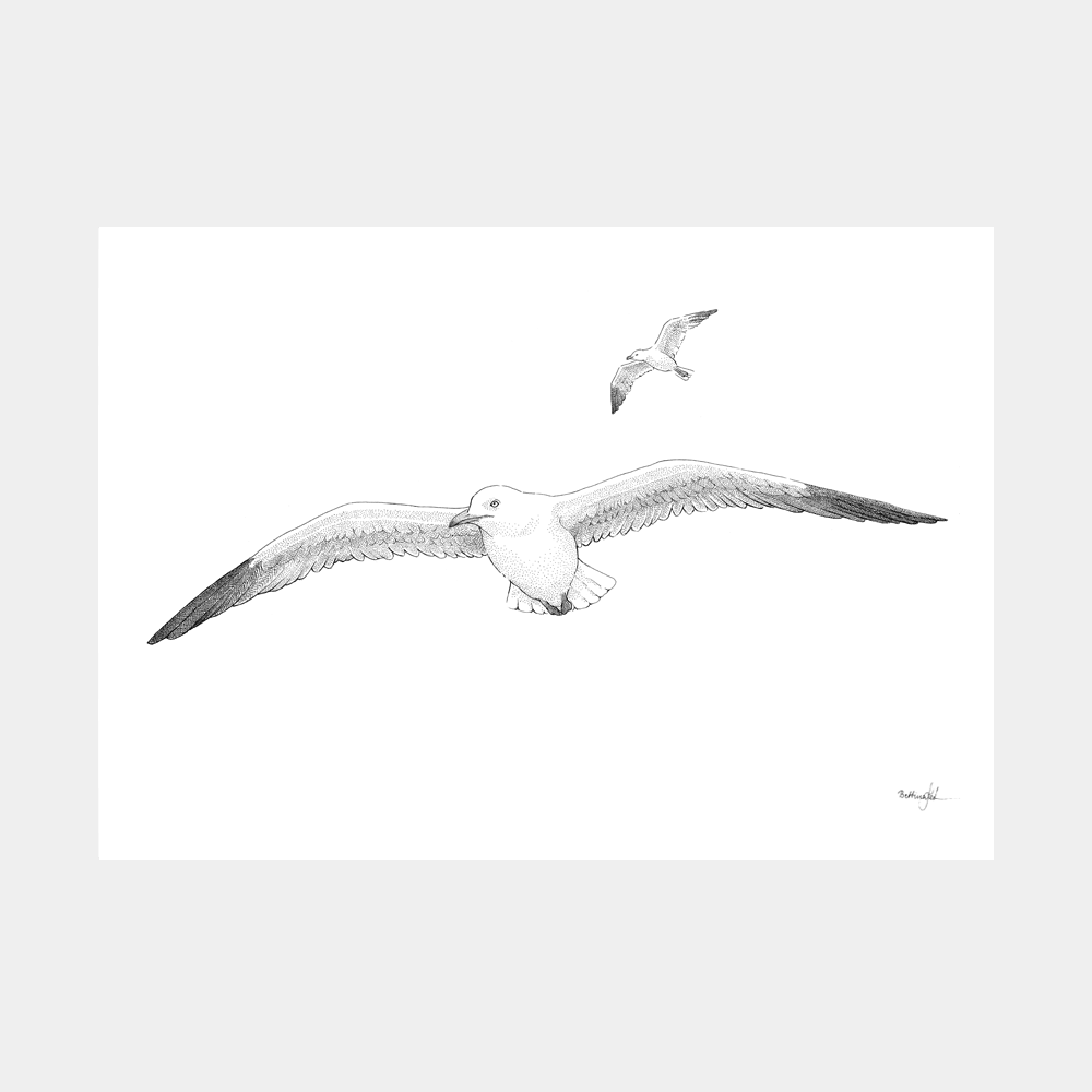 Håndtegnet plakat “Højt over bølgerne”. Poetisk motiv med måger i flugt over havet. Del af serien Ved havet – natur, frihed og balance. Trykt i Danmark.