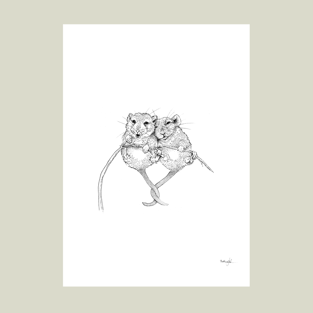 Sort-hvid plakat med to håndtegnede mus, der krammer – symbol på kærlighed og tryghed.