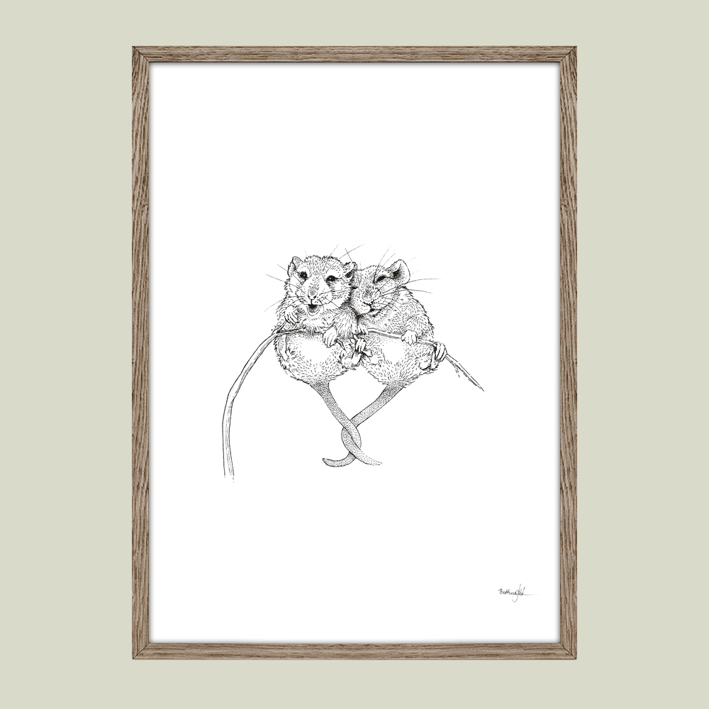 Sort-hvid plakat med to håndtegnede mus, der krammer – symbol på kærlighed og tryghed.