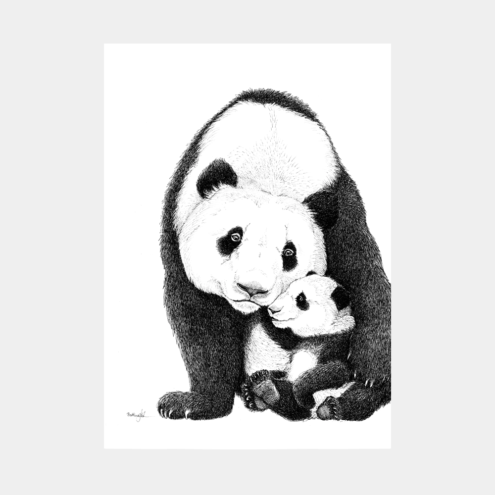 Plakat med pandaer