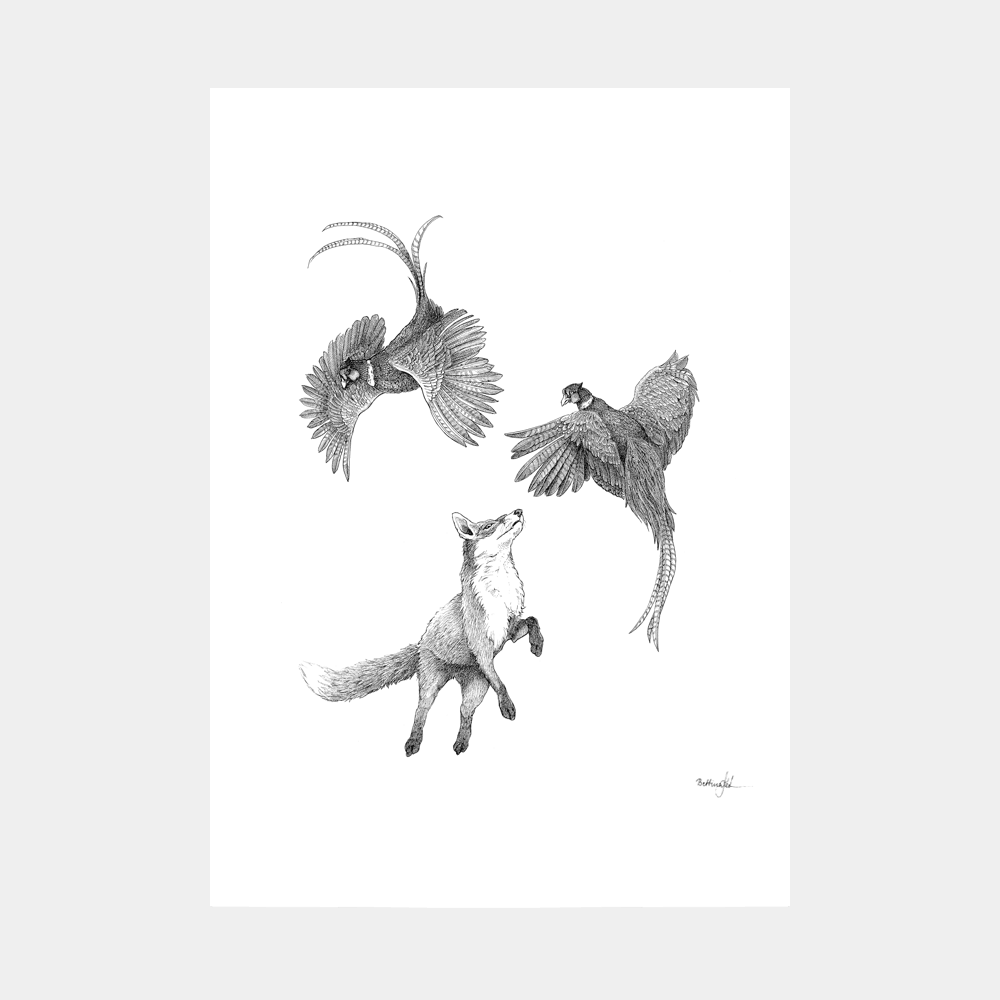 Håndtegnet plakat med ræv og fasaner i bevægelse. Et naturmotiv fra serien “I haven og skoven”, trykt i Danmark på kunstpapir – dansk design med sjæl og styrke.