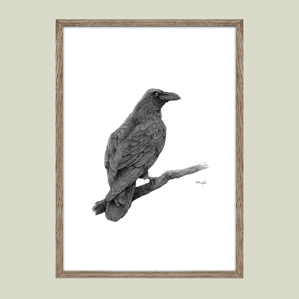 Håndtegnet plakat med ravn. Et naturmotiv fra serien “I haven og skoven”, trykt i Danmark på mat kunstpapir – dansk design med sjæl og dybde.