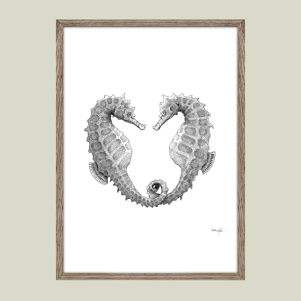 Håndtegnet sort-hvid plakat med to søheste i hjerte – symbol på kærlighed og loyalitet.