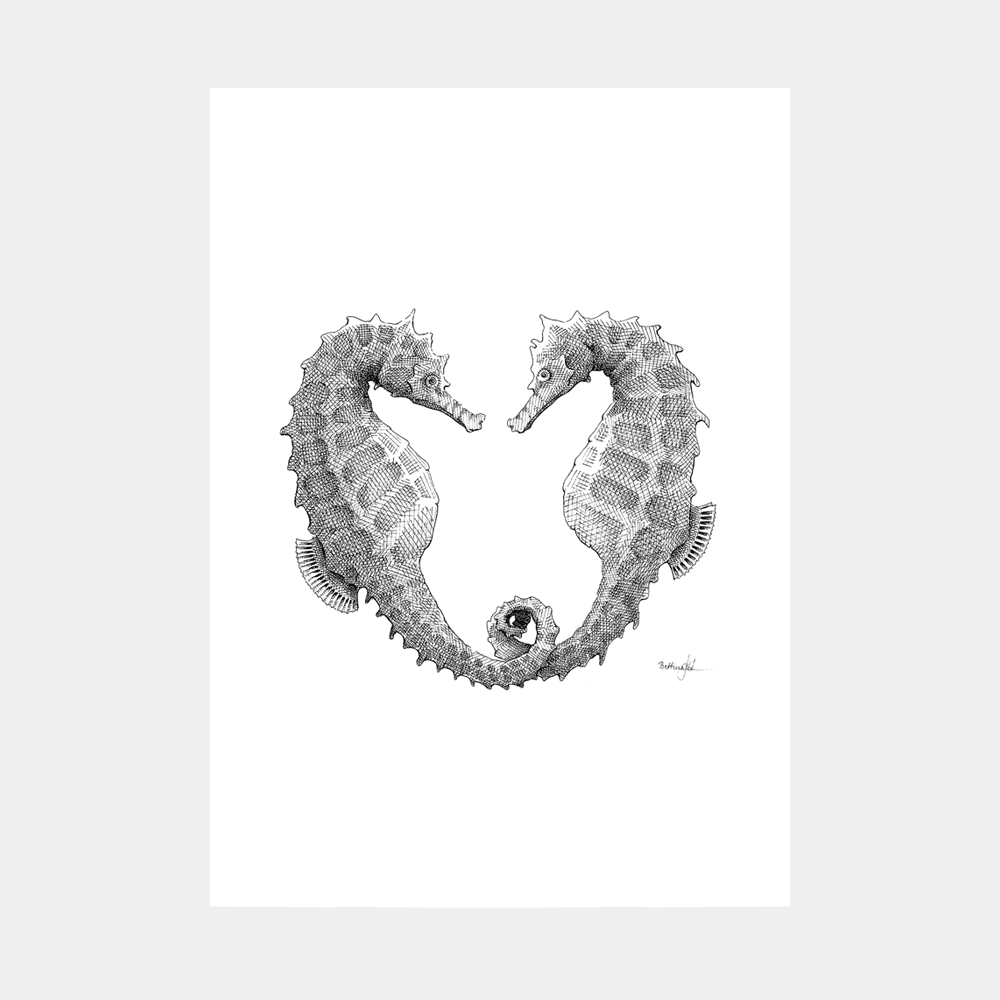 Håndtegnet sort-hvid plakat med to søheste i hjerte – symbol på kærlighed og loyalitet.
