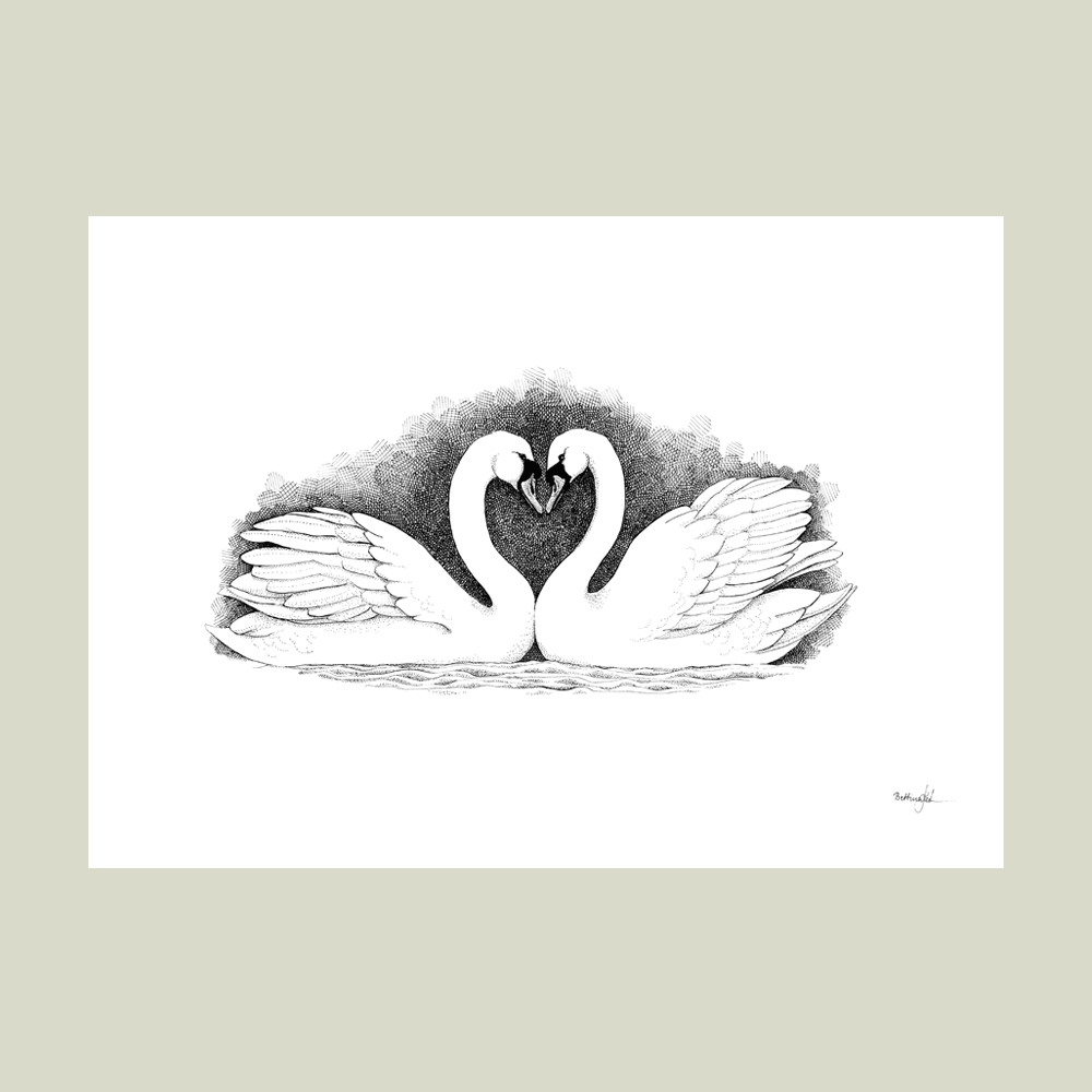 Håndtegnet sort-hvid plakat med to svaner, der danner hjerte – symbol på kærlighed og troskab.