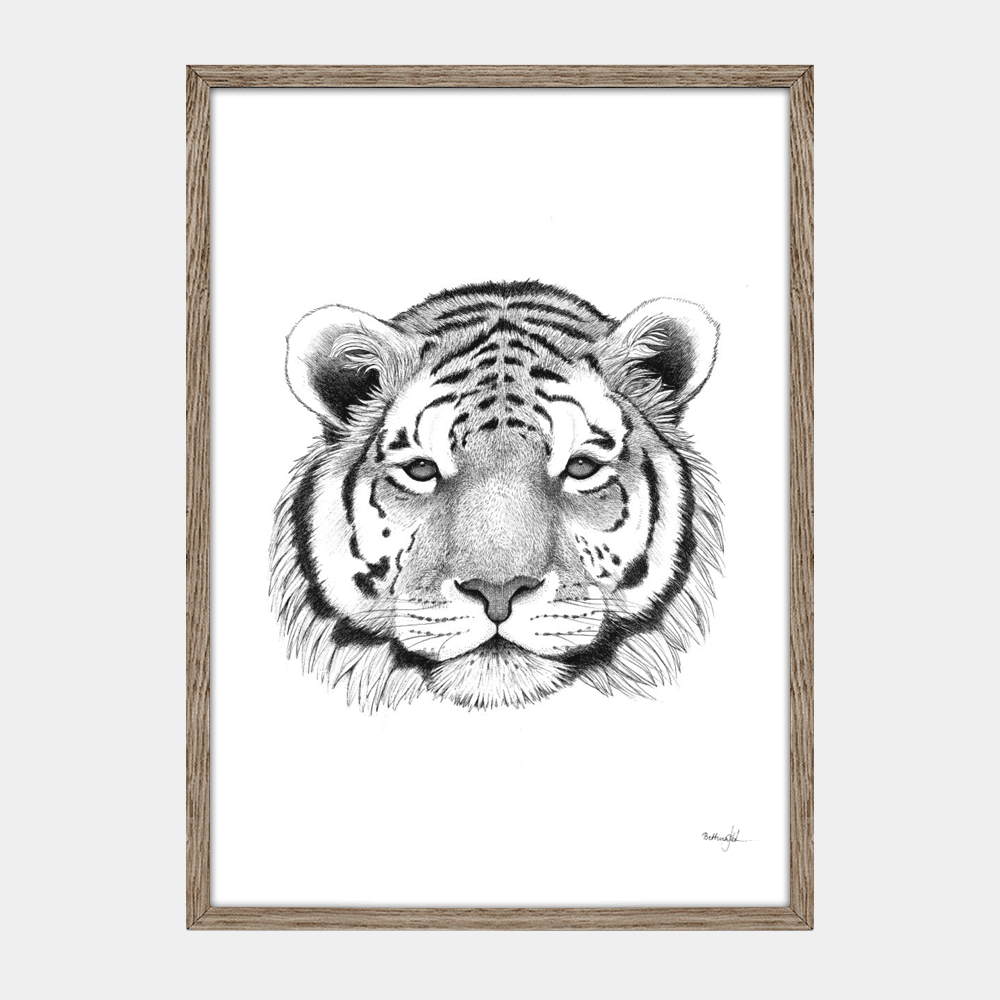 Håndtegnet sort-hvid plakat med tiger – detaljeret tuschtegning af tigerhoved med intensitet og ro.