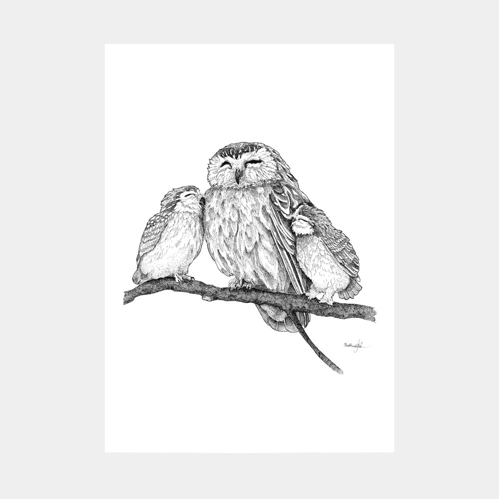 Håndtegnet plakat med tre ugler på gren – naturmotiv fra serien I haven og skoven | Draw Doodles Study