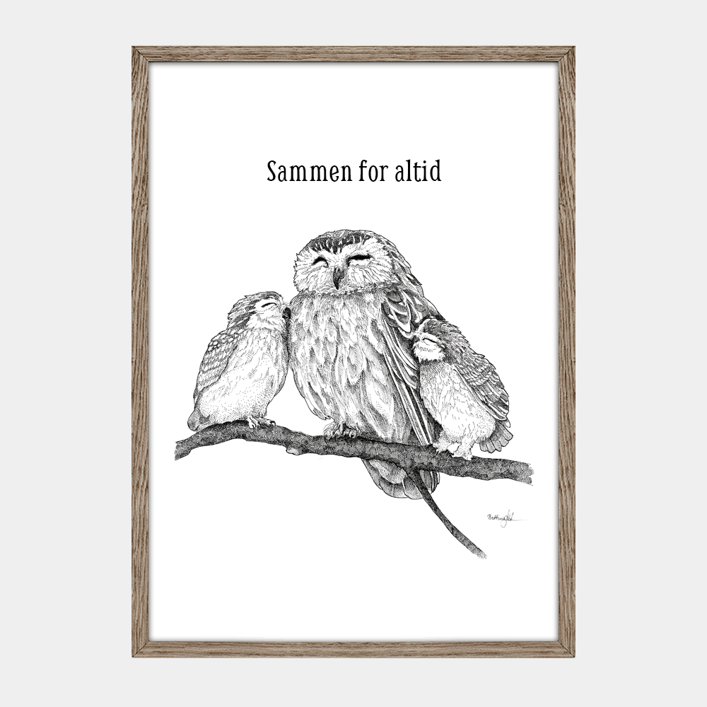 Håndtegnet plakat med tre ugler på gren – naturmotiv fra serien I haven og skoven | Draw Doodles Study