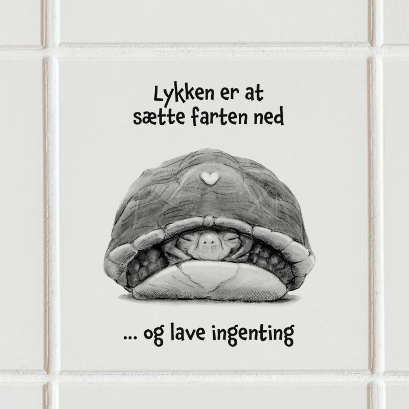 Sticker - Skildpadde