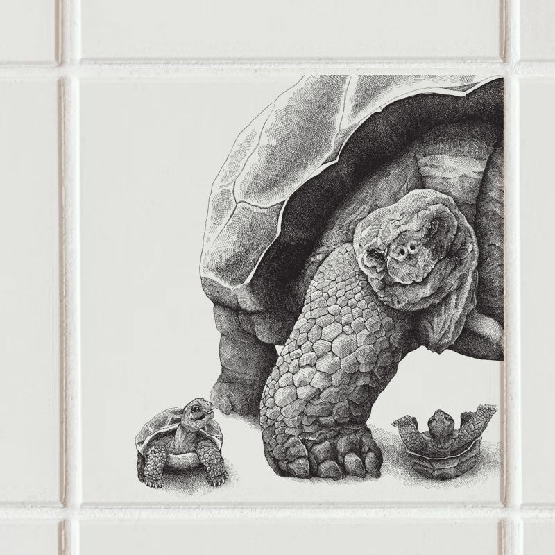 Sticker - Skildpadder