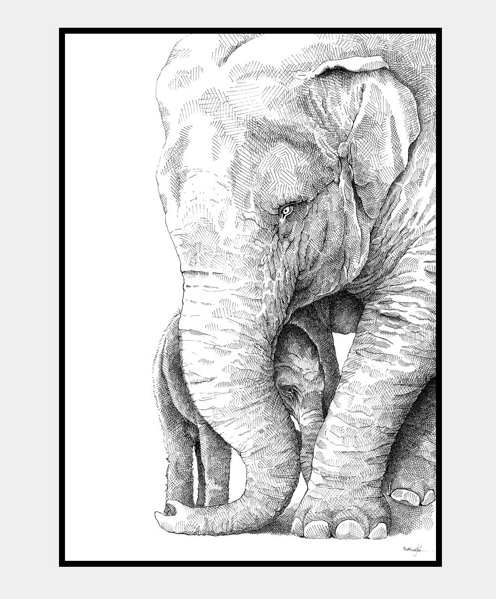 Elefant og unge - 50x70 plakat