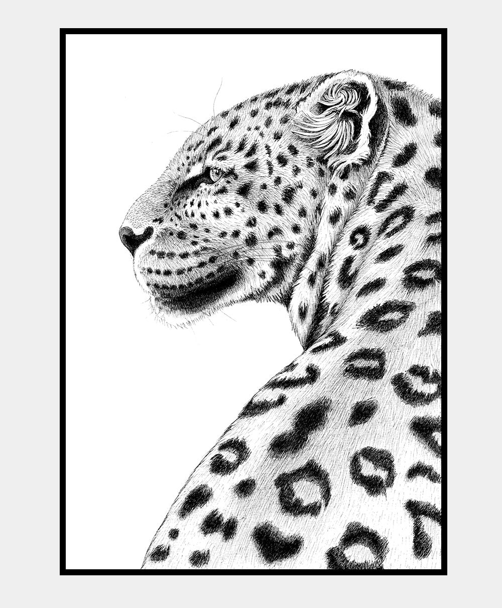 Leopard - 50x70 plakat