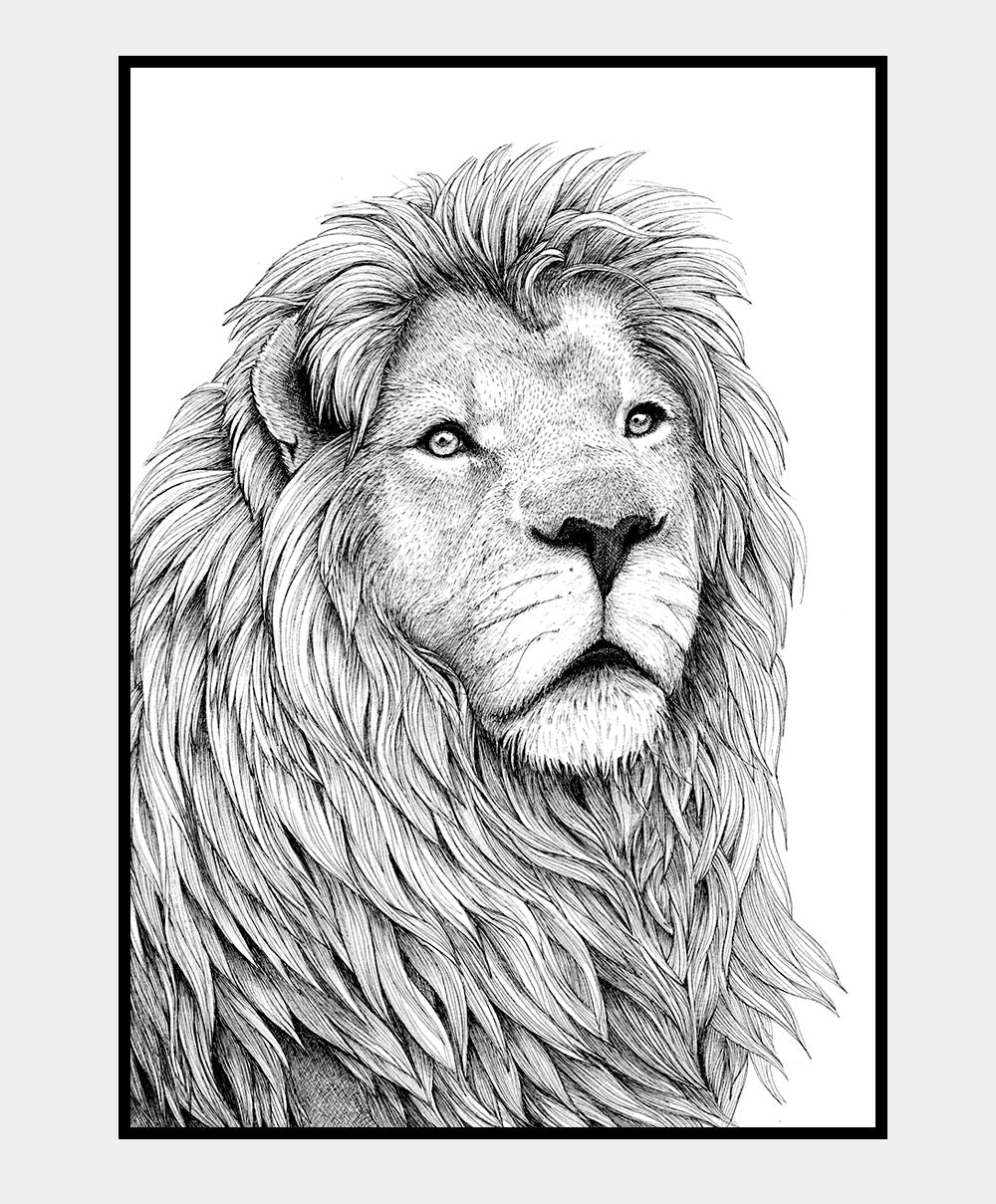 Løve - 50x70 plakat