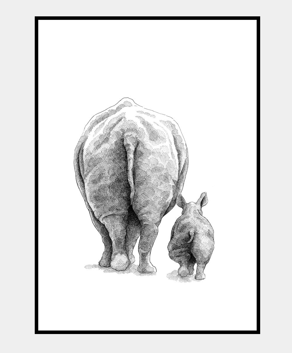 Næsehorn - 50x70 plakat