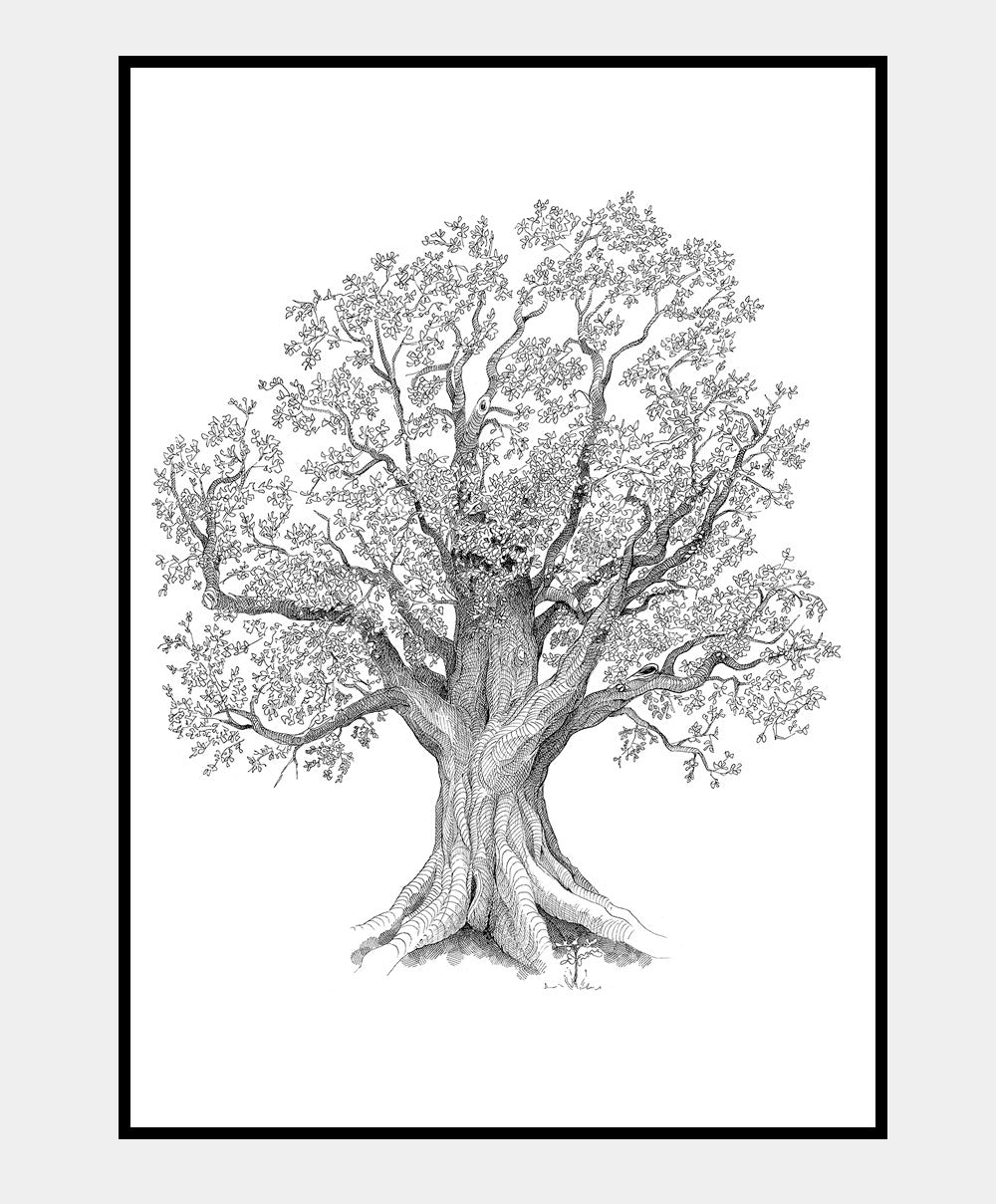 Livets træ - 50x70 plakat