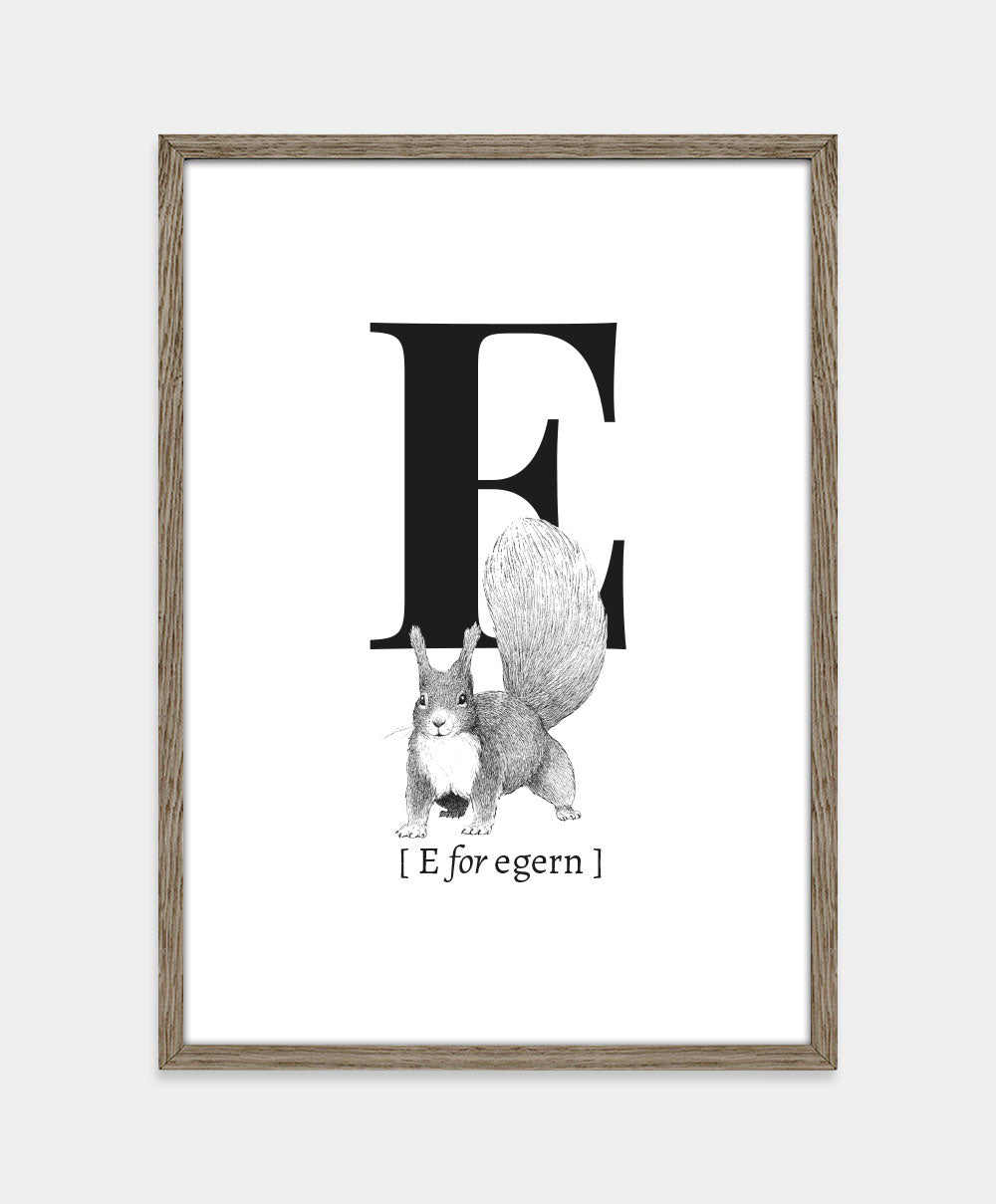 Bogstavplakat - E for egern