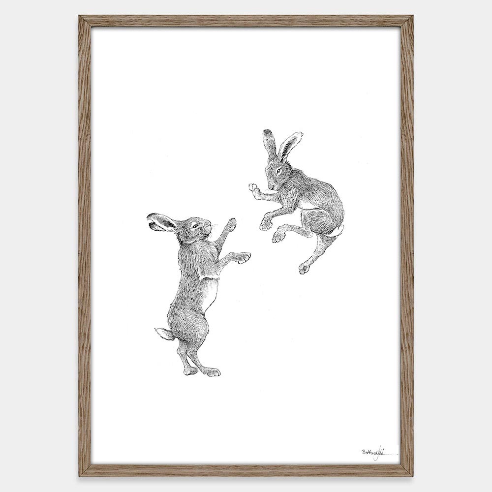 Harer plakat fra Draw Doodles Study