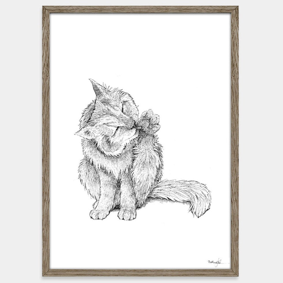 Kat som vasker sig - plakat fra Draw Doodles Study