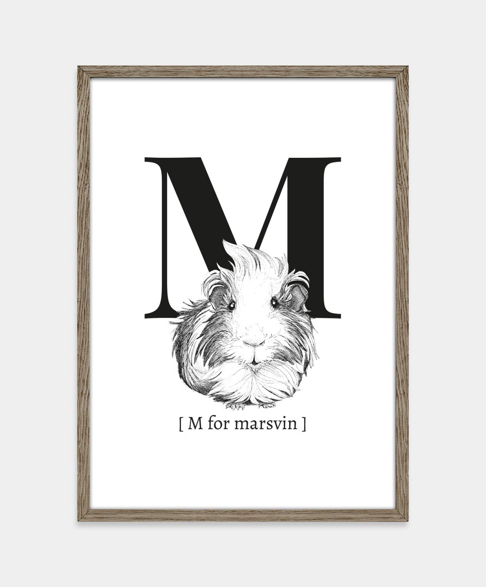 Bogstavplakat - M for marsvin