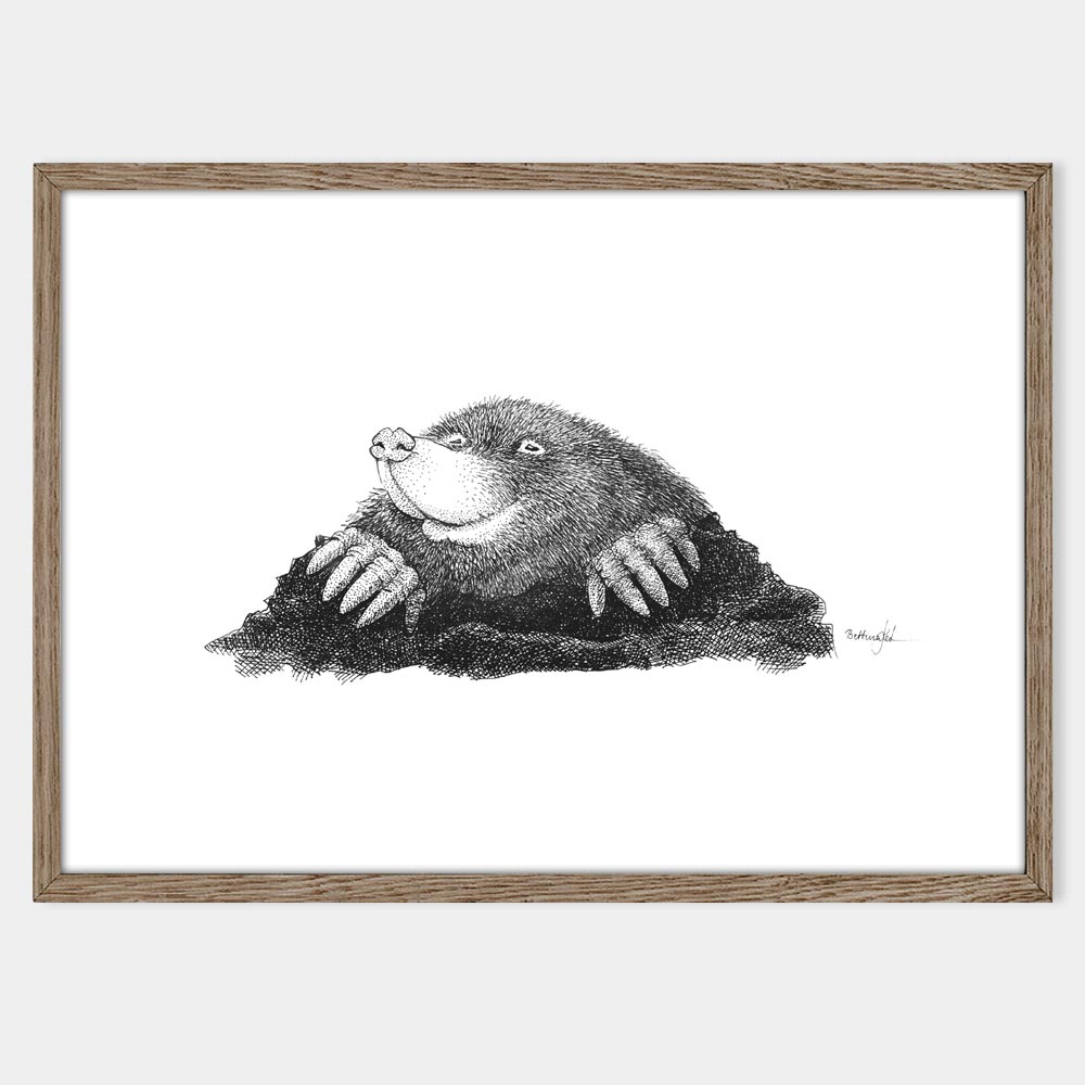 Muldvarp - plakat fra Draw Doodles Study