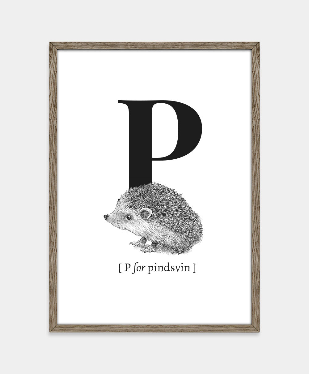 Bogstavplakat - P for pindsvin
