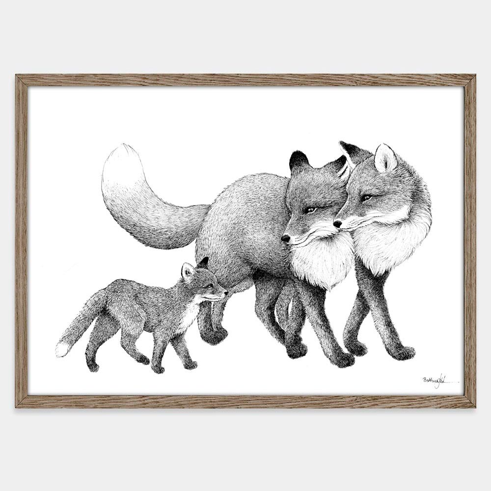 Rævefamilie - plakat fra Draw Doodles Study