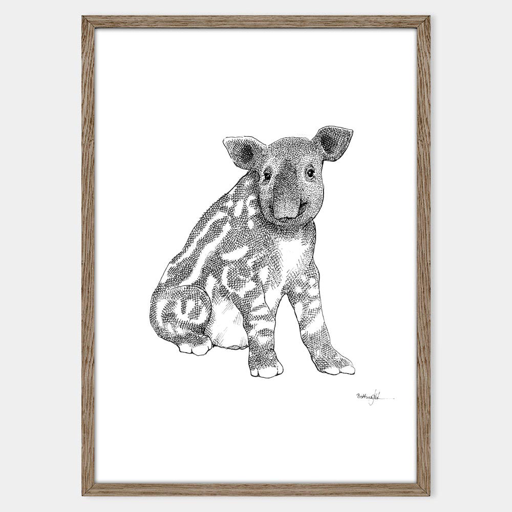 Plakat med tapirunge