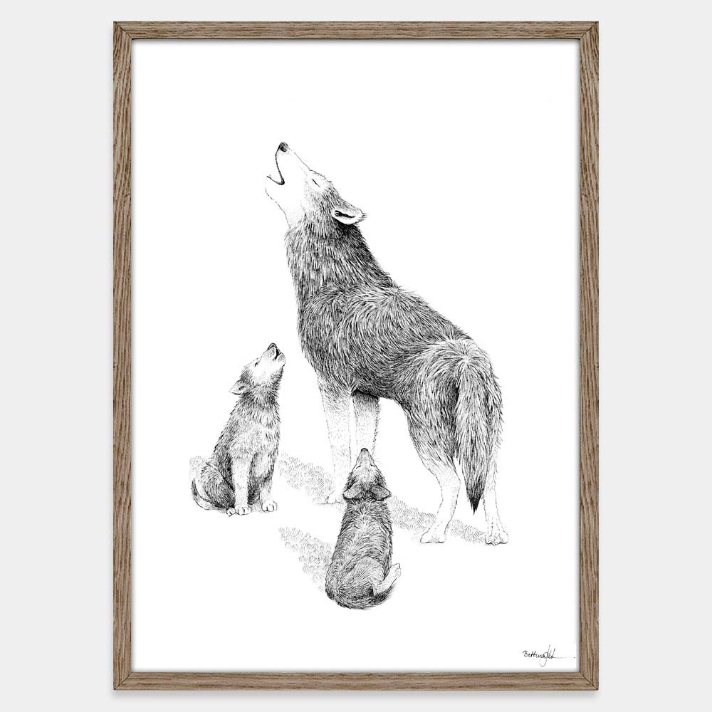 Ulv og to unger - plakat fra Draw Doodles Study